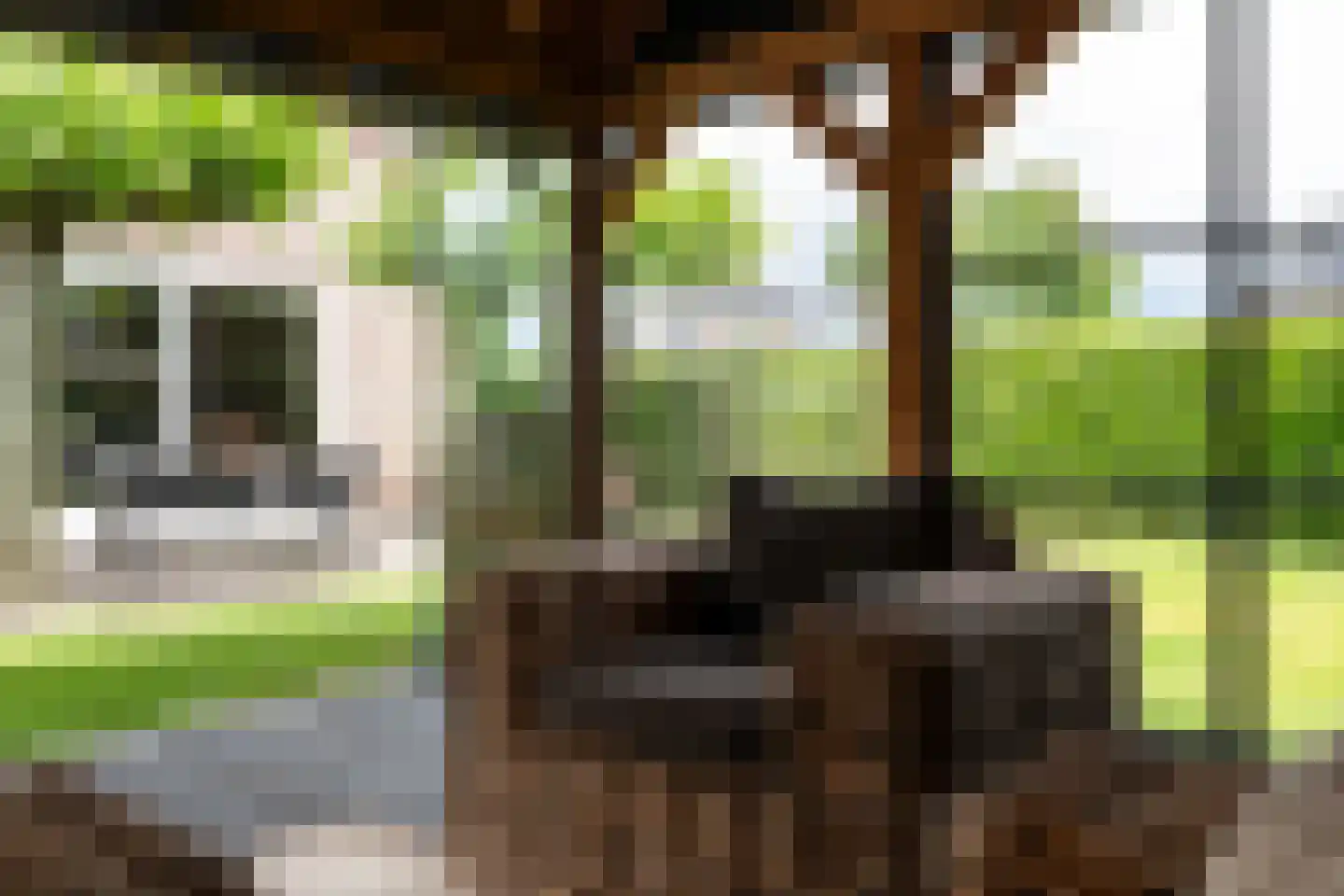Wolvenhaar 12 Nieuw-Balinge thumbnail 40