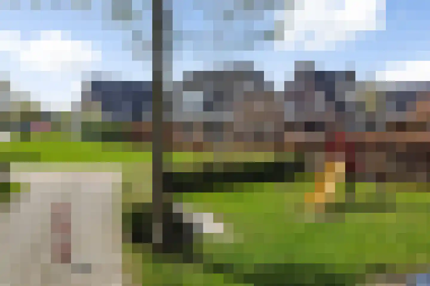Wolvenhaar 12 Nieuw-Balinge thumbnail 45