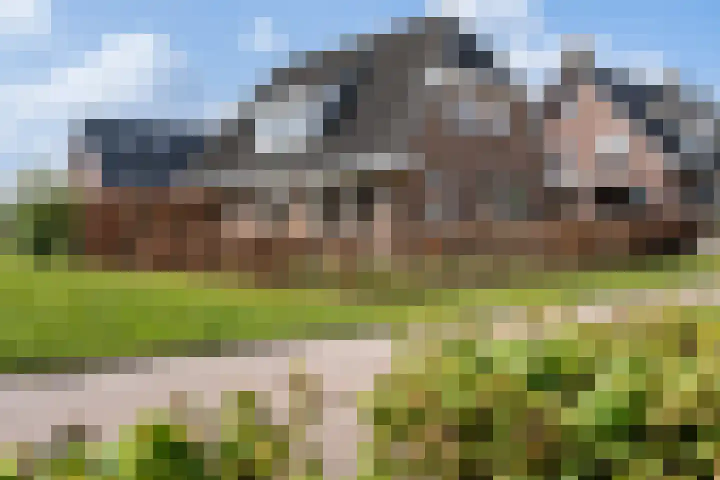 Wolvenhaar 12 Nieuw-Balinge thumbnail 47