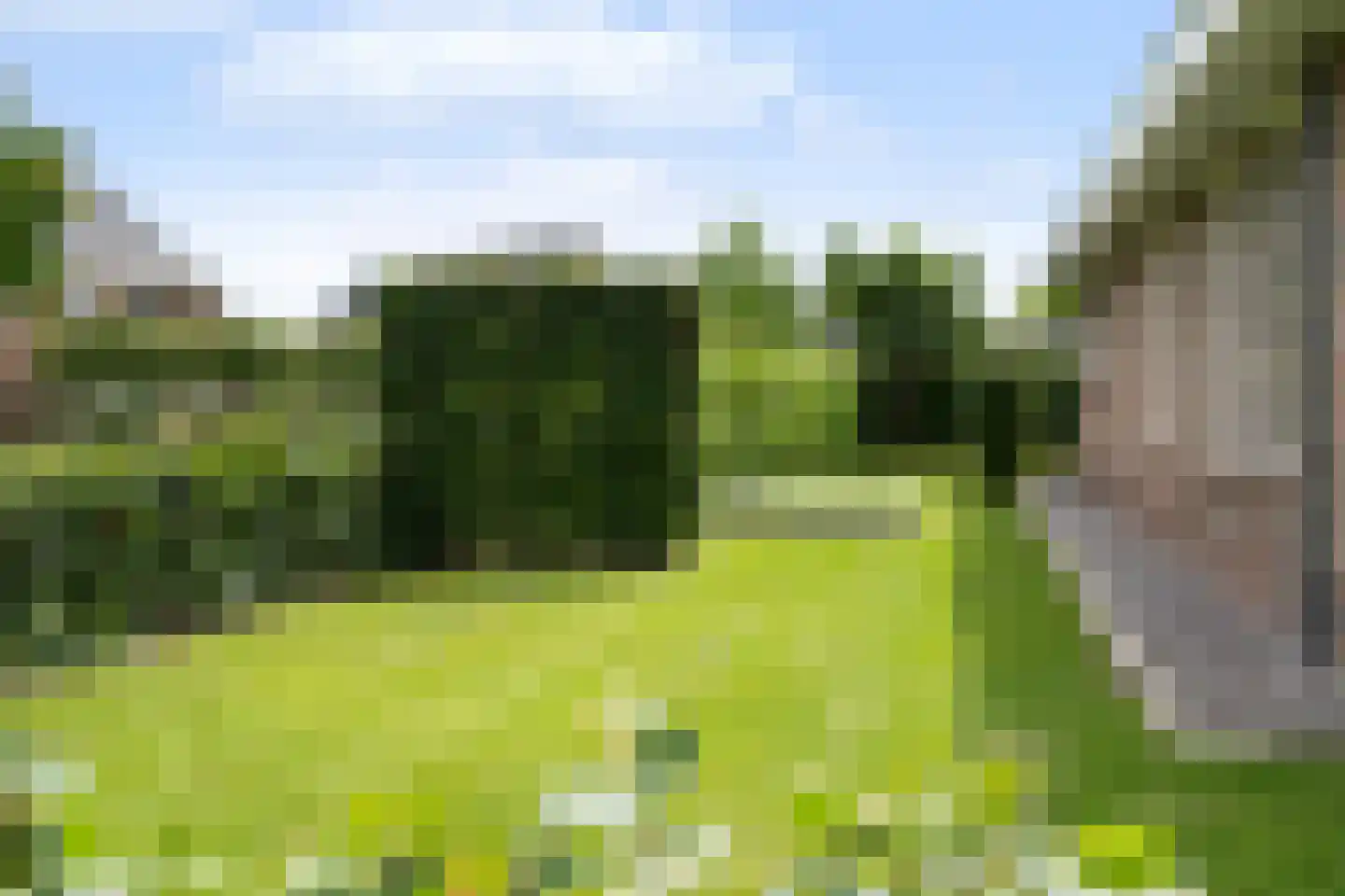 Wolvenhaar 12 Nieuw-Balinge thumbnail 48