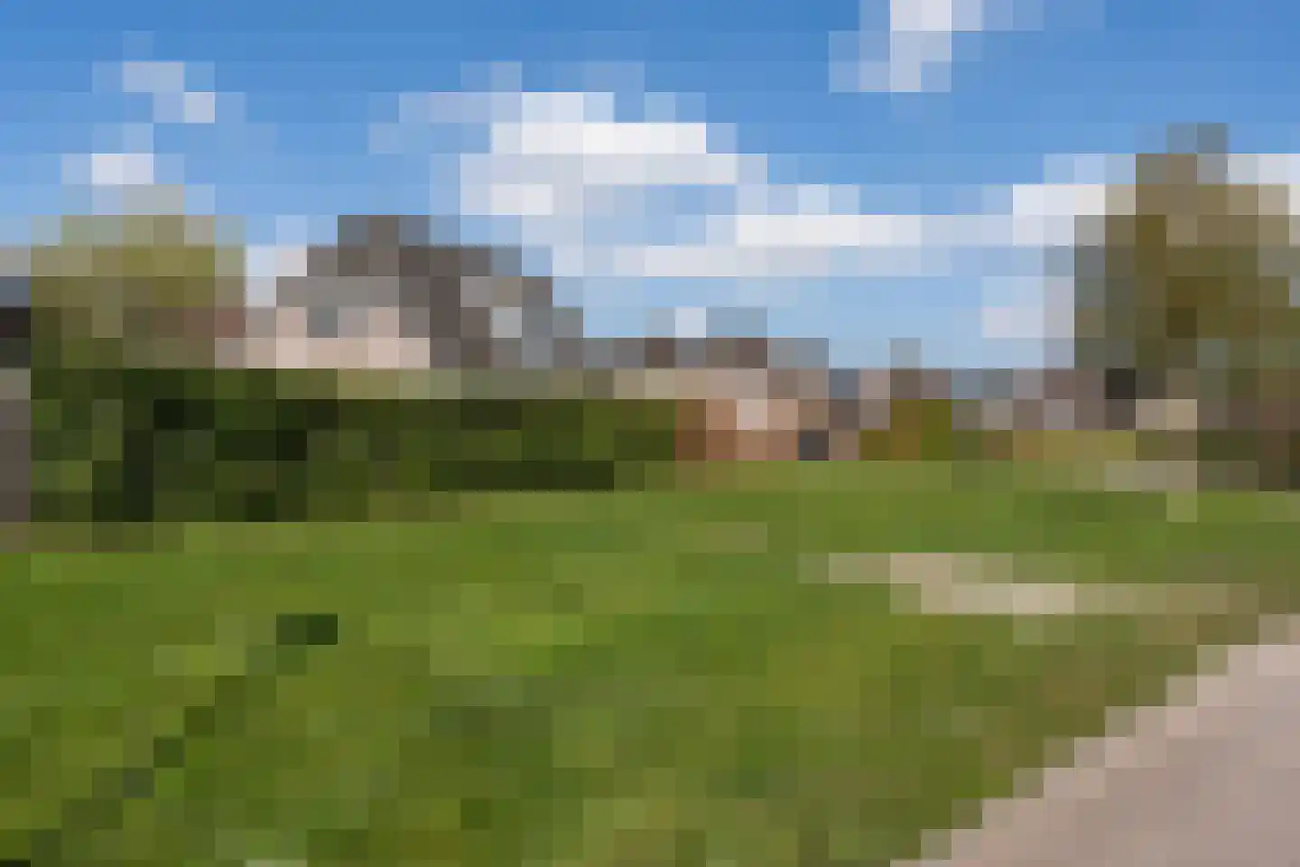 Wolvenhaar 12 Nieuw-Balinge thumbnail 48