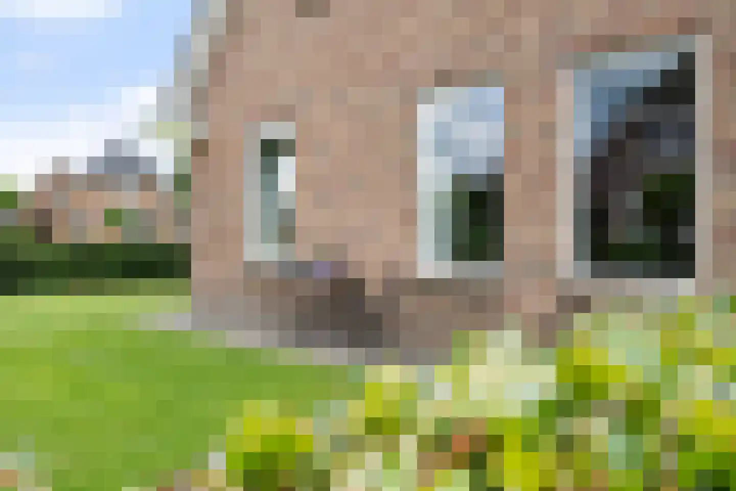 Wolvenhaar 12 Nieuw-Balinge thumbnail 53