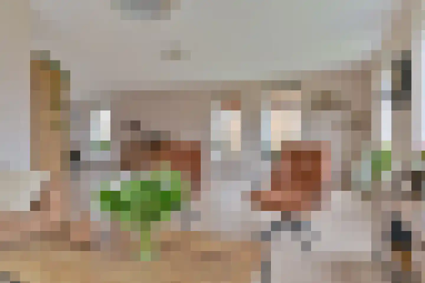 Wolvenhaar 4 Nieuw-Balinge thumbnail 4