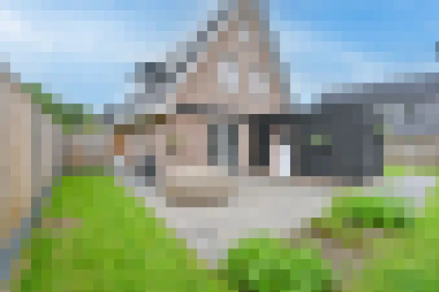 Wolvenhaar 4 Nieuw-Balinge thumbnail 46