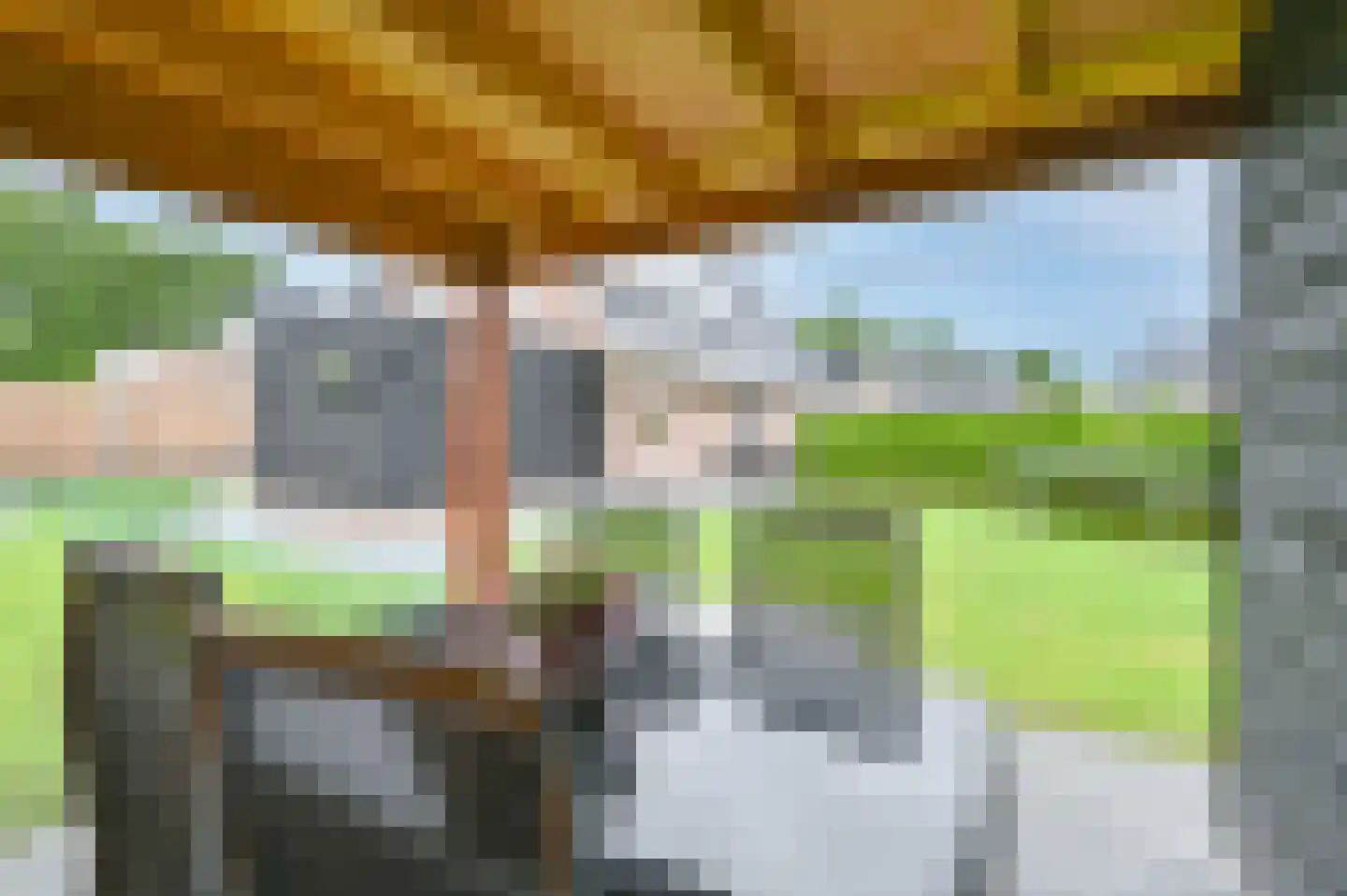Wolvenhaar 4 Nieuw-Balinge thumbnail 48