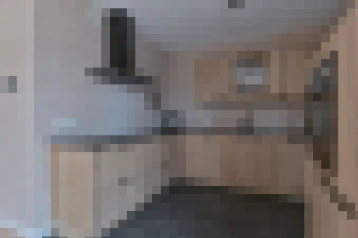 Wolvenhaar 4 Nieuw-Balinge thumbnail 5