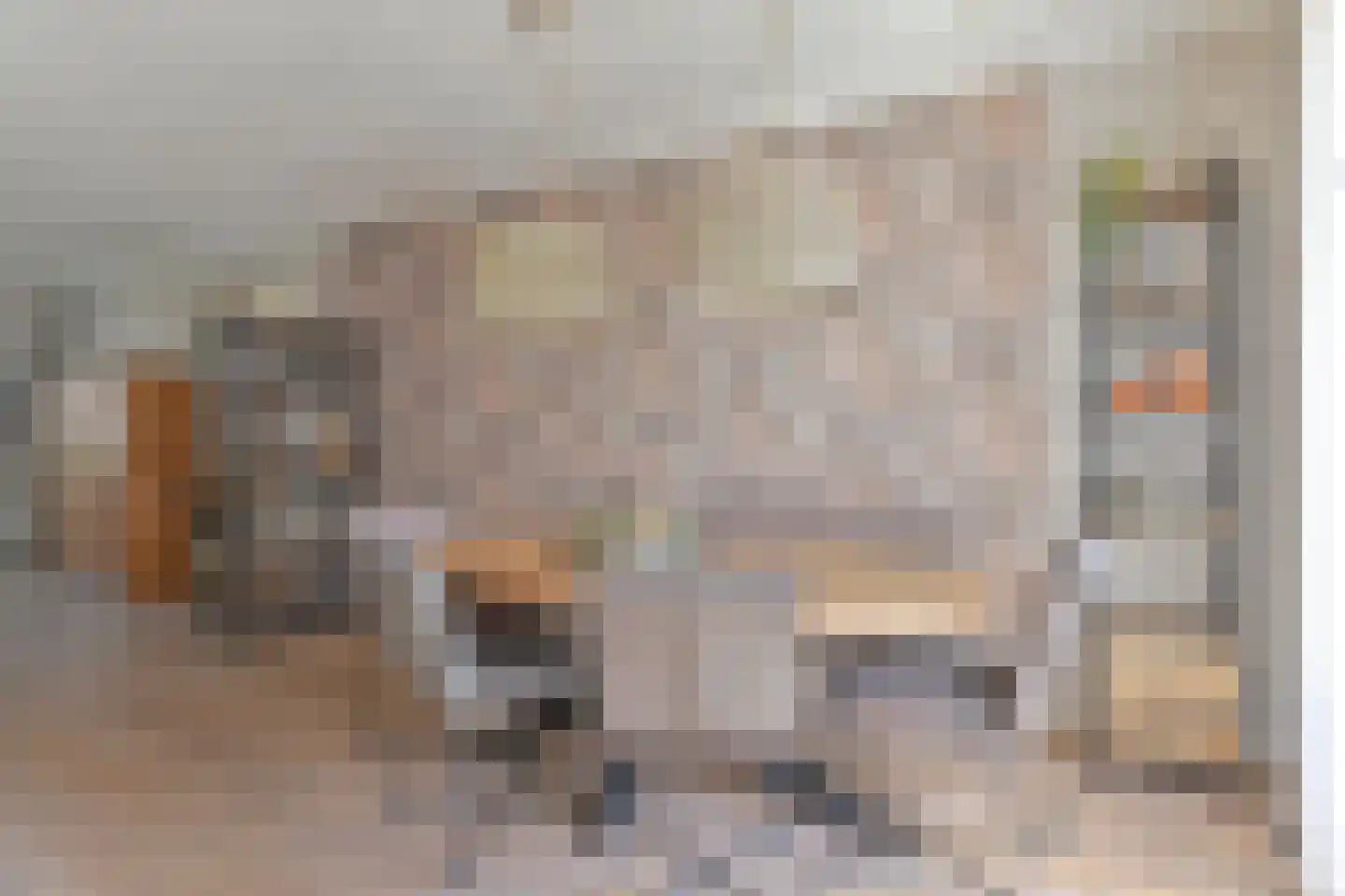 Wolvenhaar 8 Nieuw-Balinge thumbnail 21
