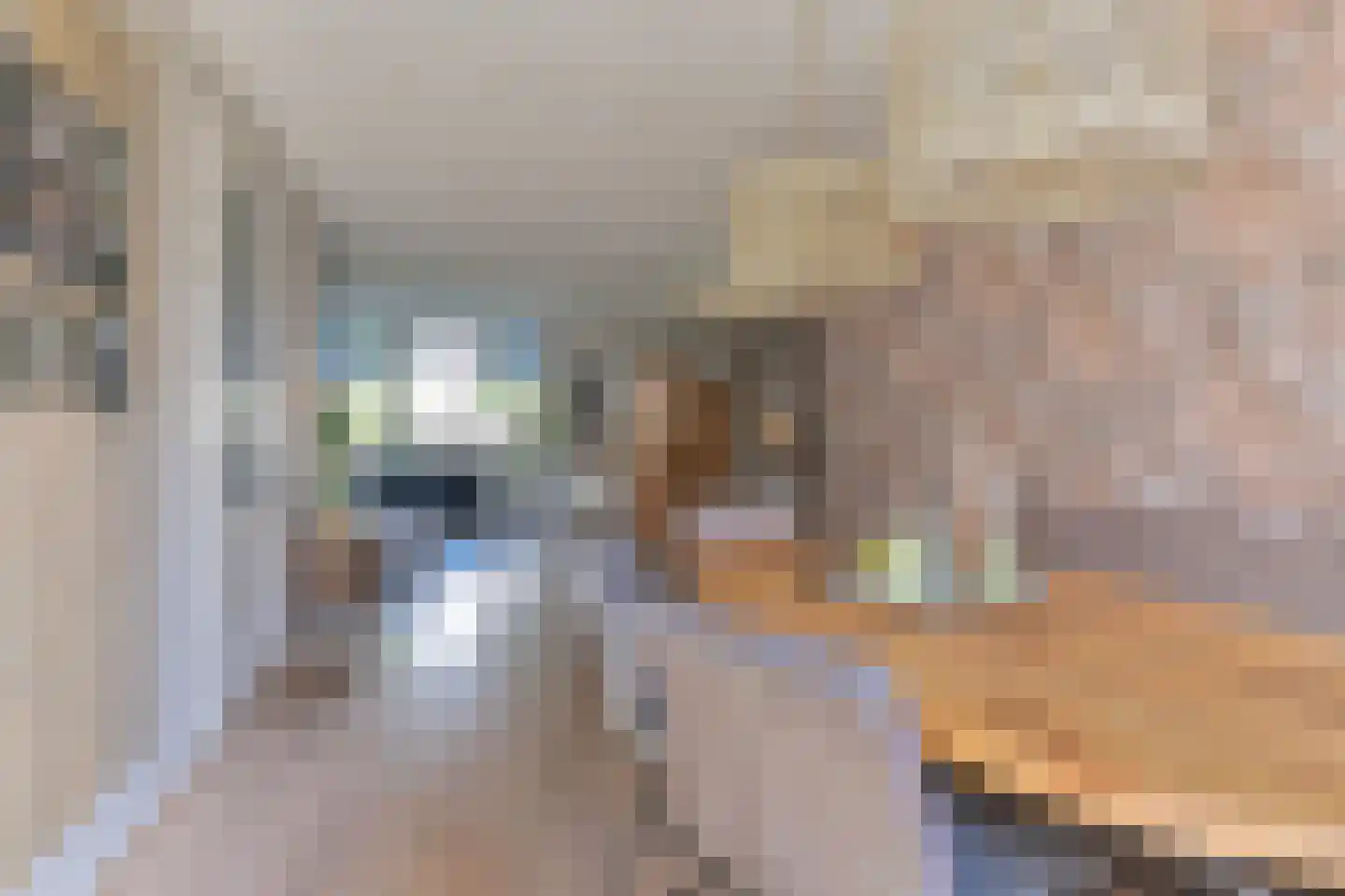 Wolvenhaar 8 Nieuw-Balinge thumbnail 22