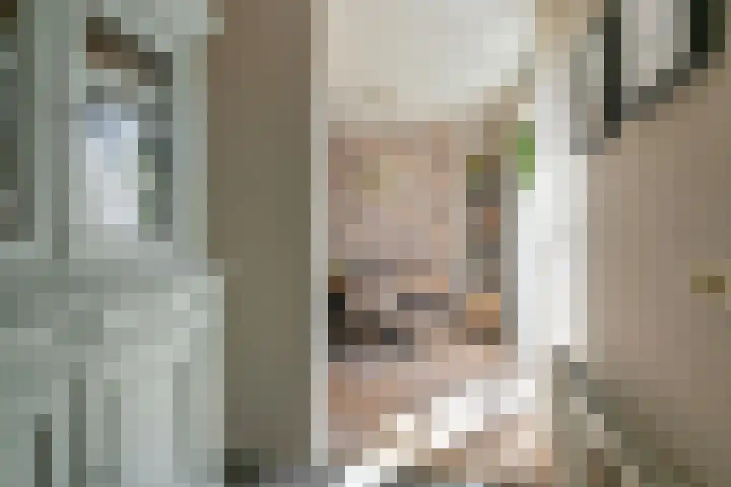 Wolvenhaar 8 Nieuw-Balinge thumbnail 25