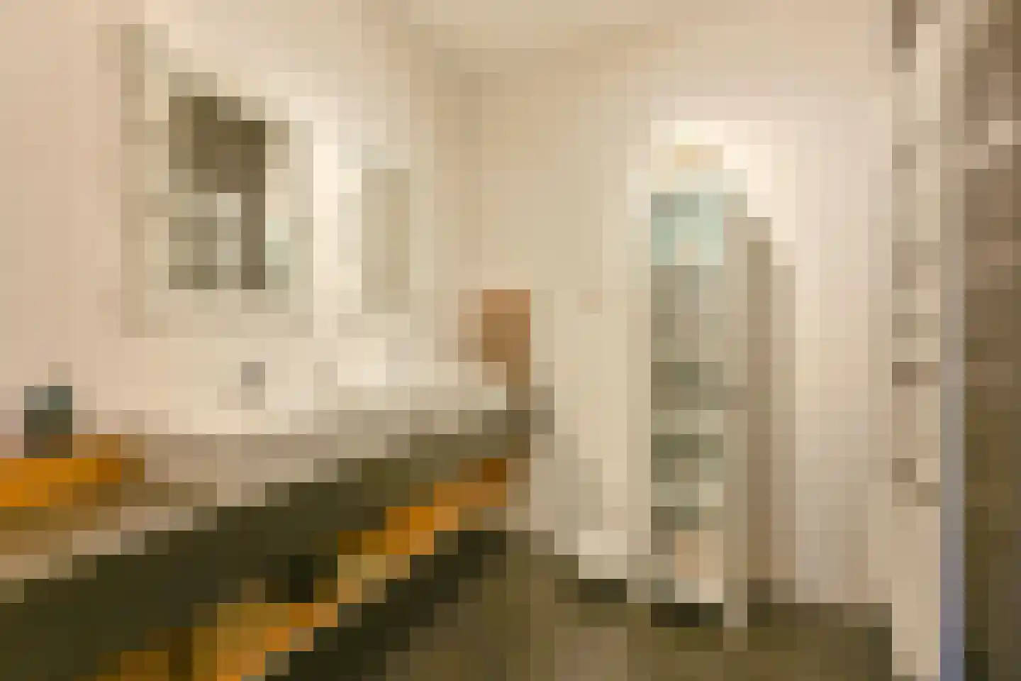 Wolvenhaar 8 Nieuw-Balinge thumbnail 42
