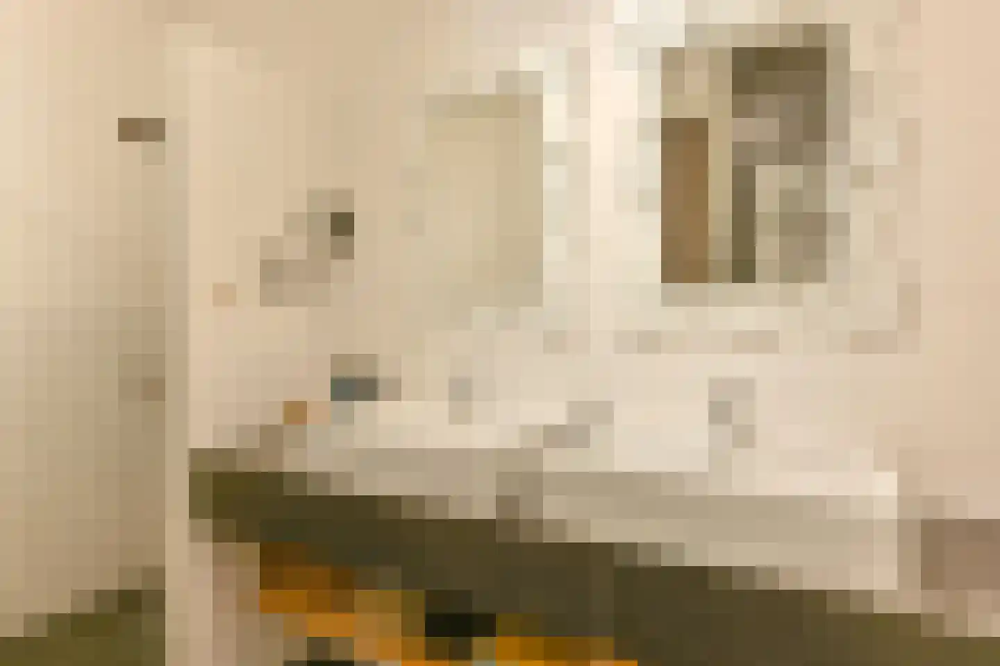 Wolvenhaar 8 Nieuw-Balinge thumbnail 43