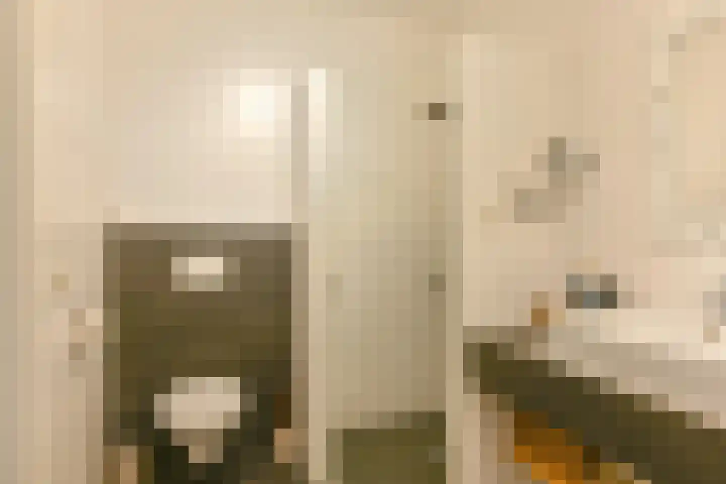 Wolvenhaar 8 Nieuw-Balinge thumbnail 44