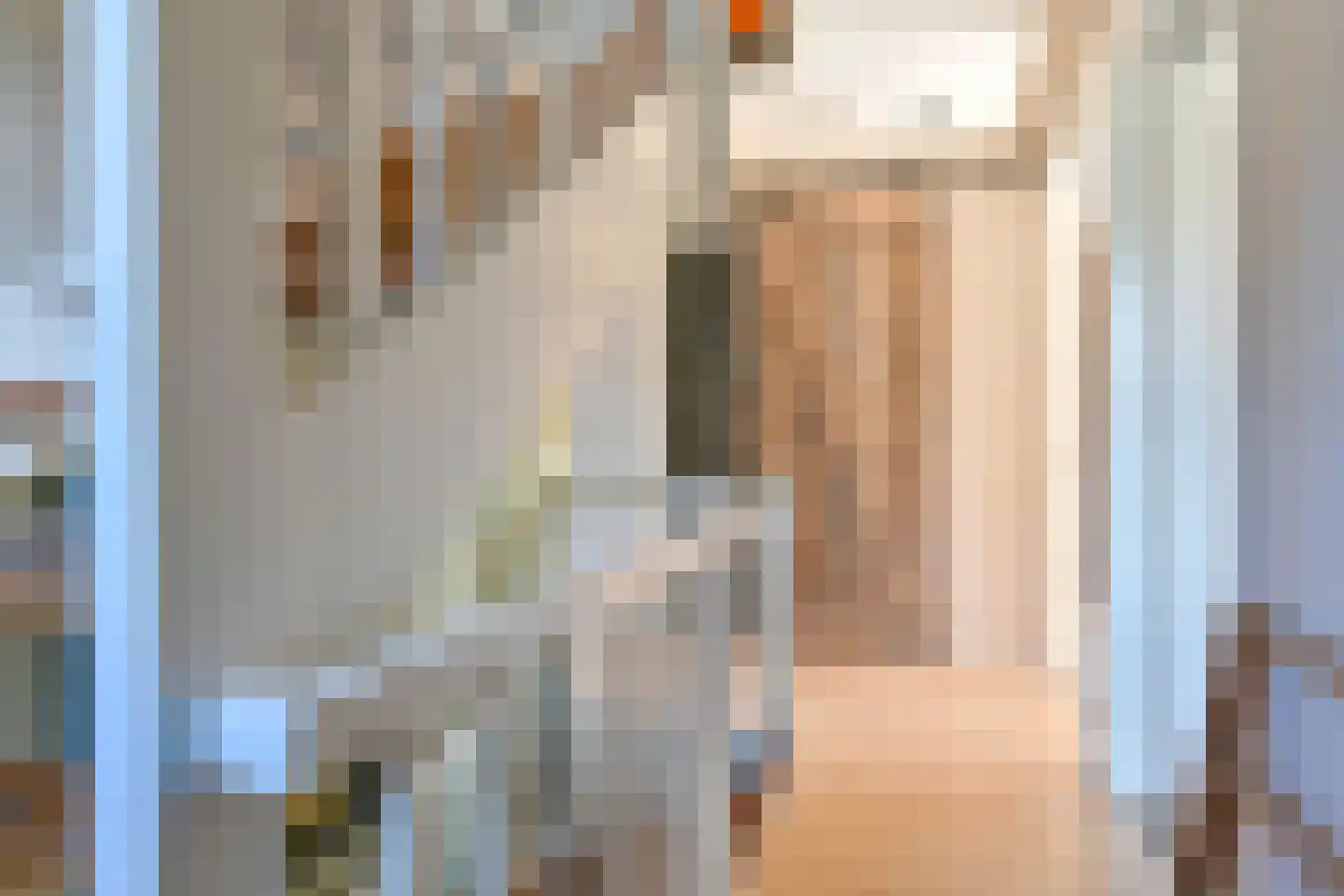 Wolvenhaar 8 Nieuw-Balinge thumbnail 64