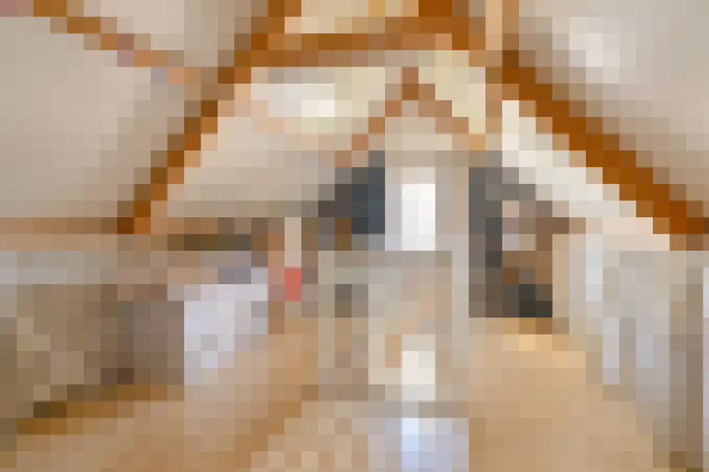 Wolvenhaar 8 Nieuw-Balinge thumbnail 65
