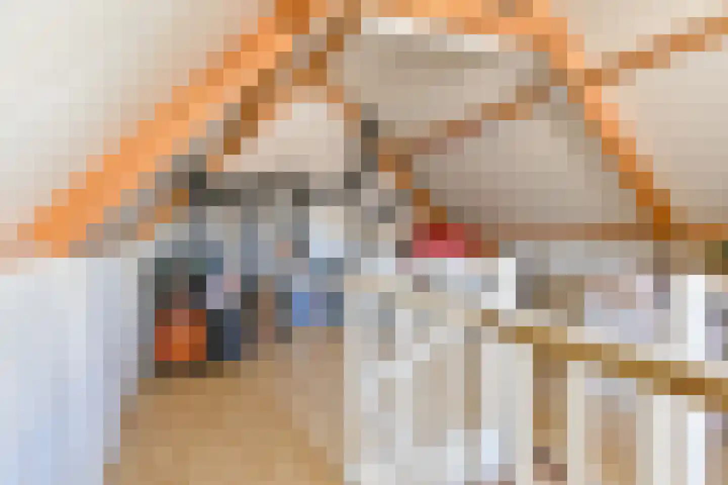 Wolvenhaar 8 Nieuw-Balinge thumbnail 66