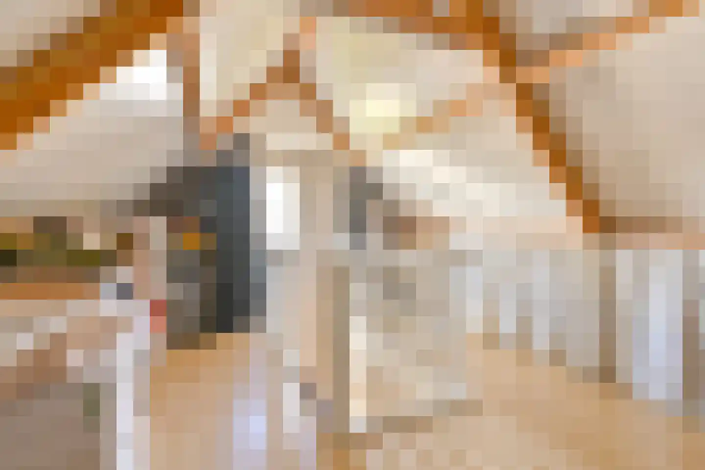 Wolvenhaar 8 Nieuw-Balinge thumbnail 67