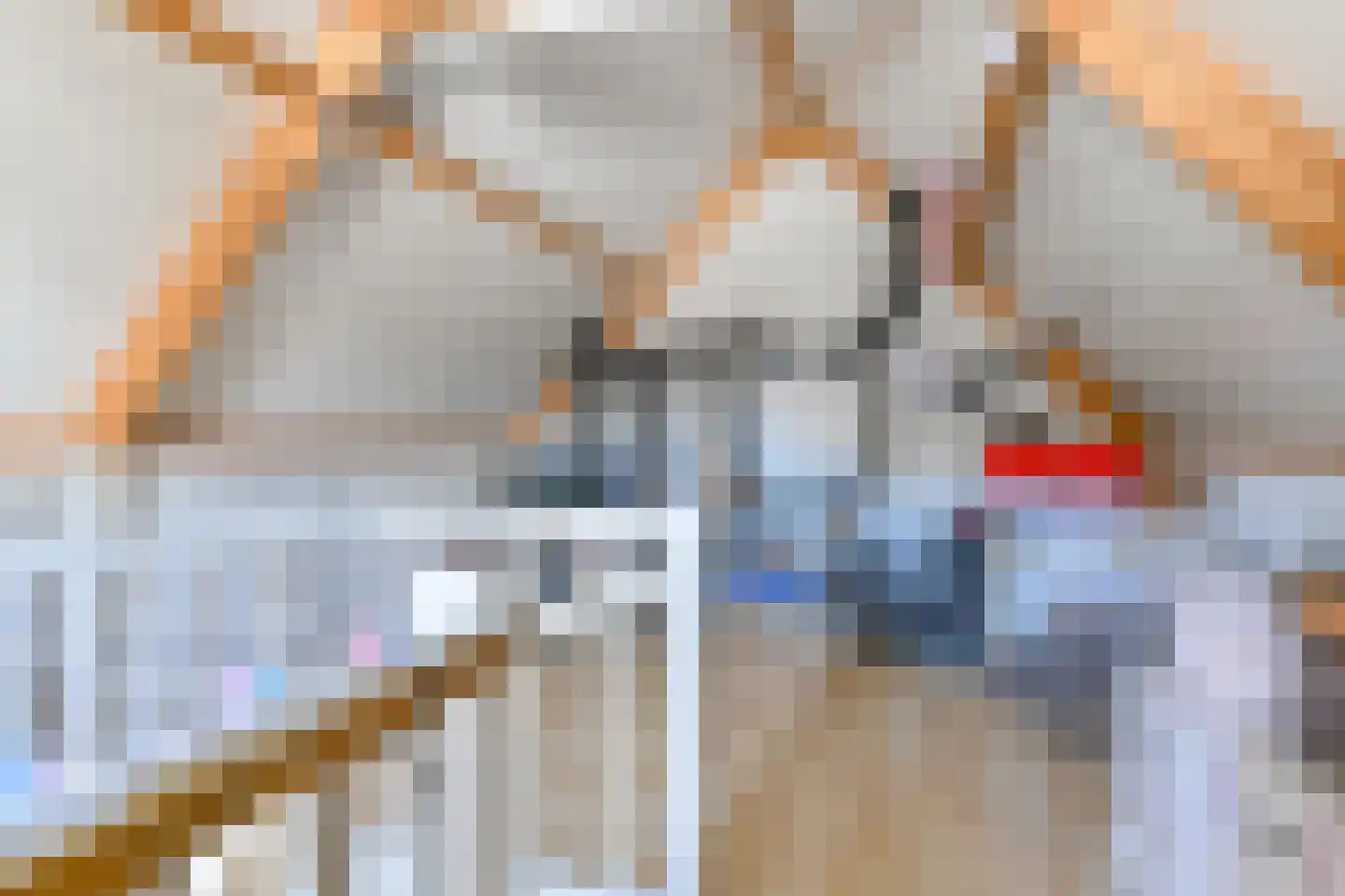 Wolvenhaar 8 Nieuw-Balinge thumbnail 68