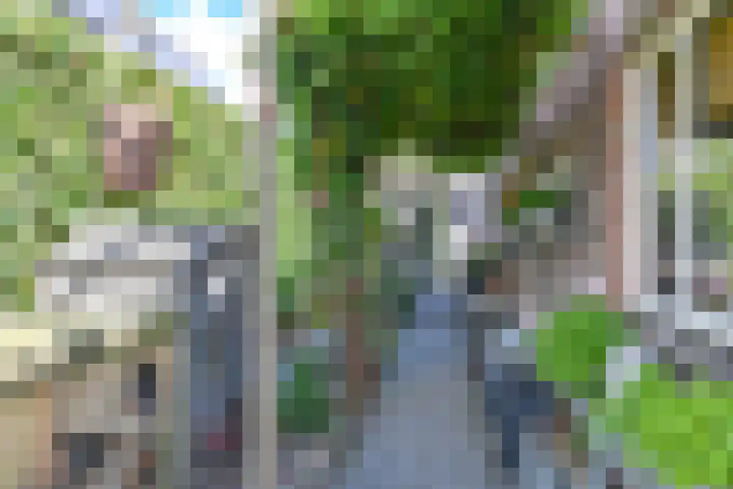 Wolvenhaar 8 Nieuw-Balinge thumbnail 70