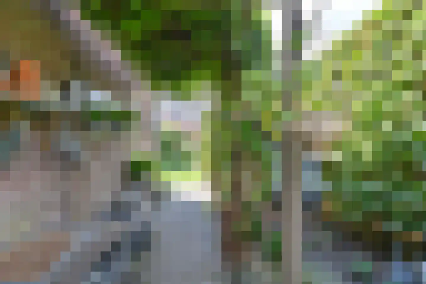 Wolvenhaar 8 Nieuw-Balinge thumbnail 71