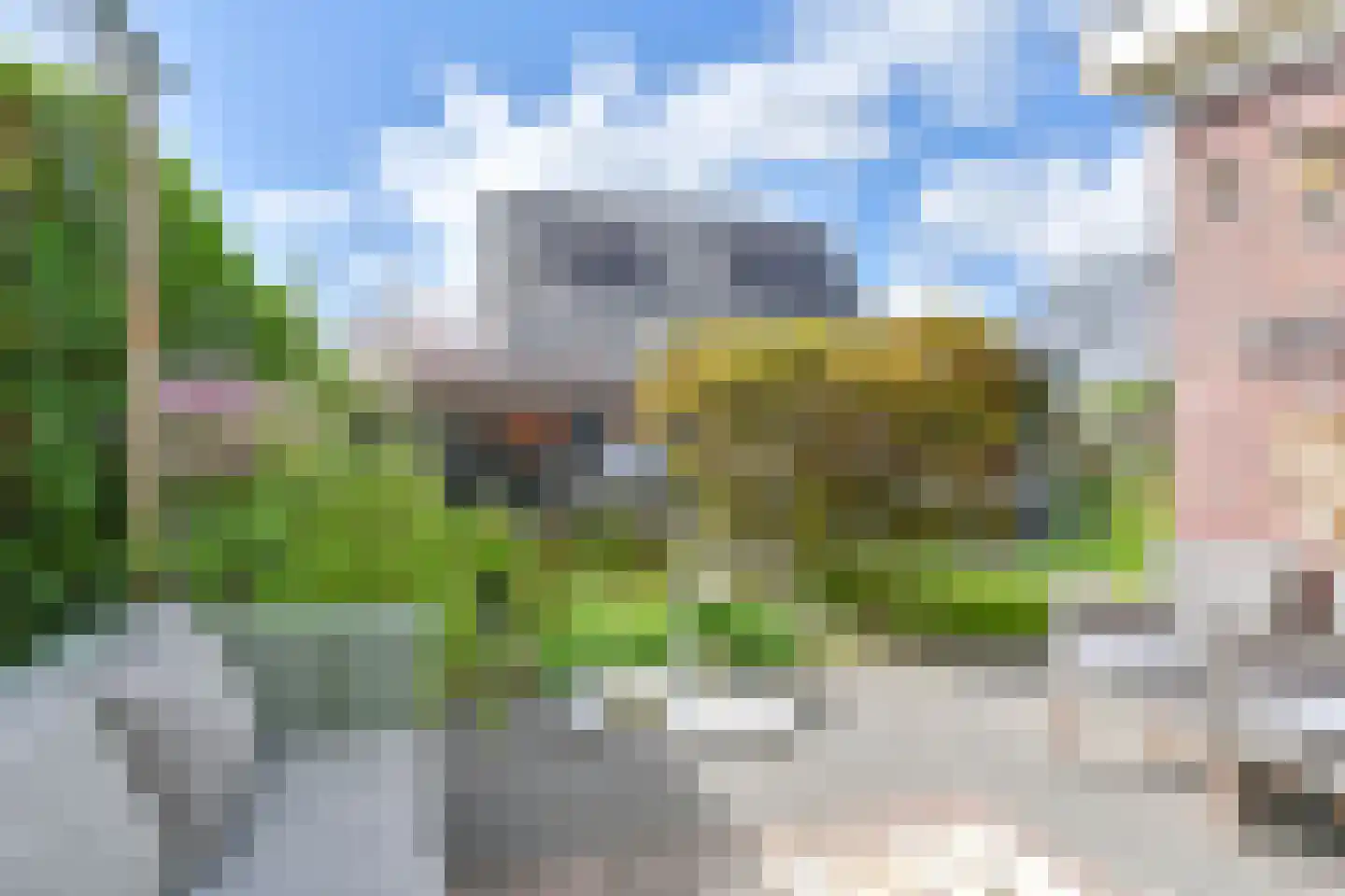 Wolvenhaar 8 Nieuw-Balinge thumbnail 82