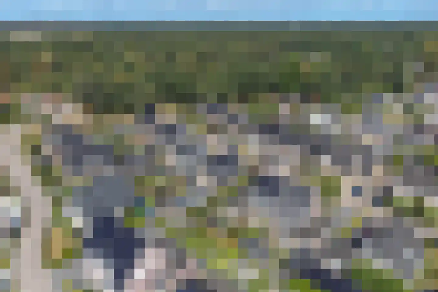 Wolvenhaar 8 Nieuw-Balinge thumbnail 84