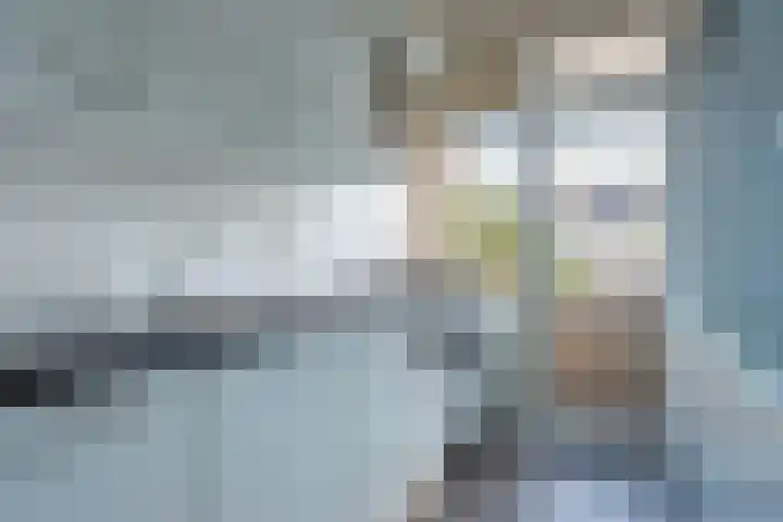 Wolvenlaan 101 Hilversum thumbnail 10