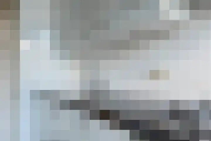 Wolvenlaan 101 Hilversum thumbnail 12