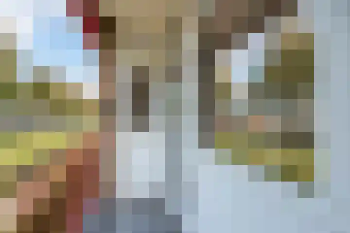 Wolvenlaan 101 Hilversum thumbnail 16