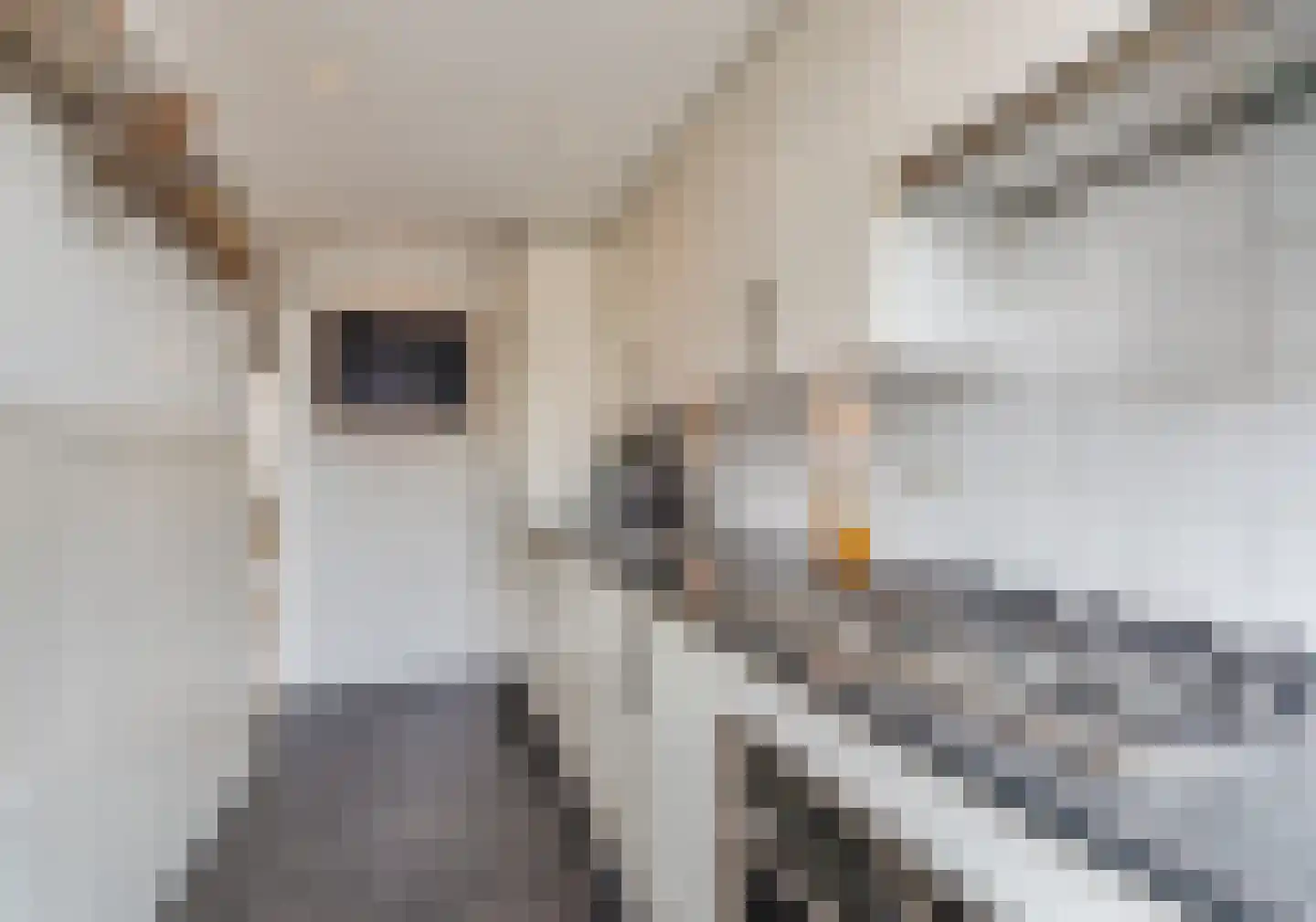 Wolvenlaan 13 Hilversum thumbnail 22