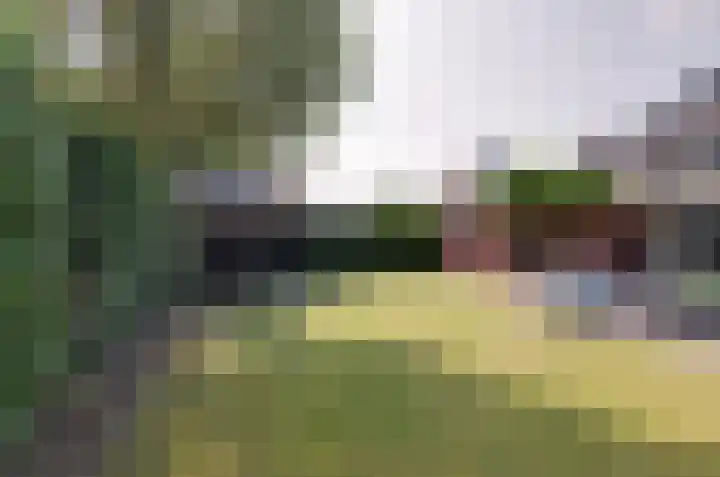 Wolvenlaan 19 Assen thumbnail 41