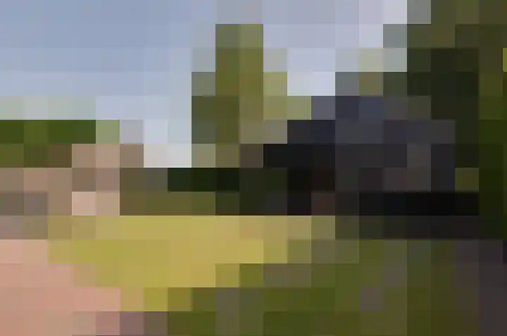 Wolvenlaan 19 Assen thumbnail 43