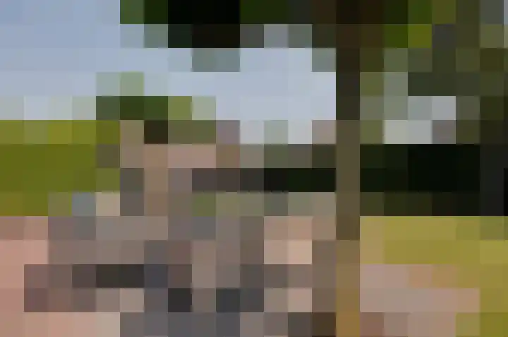 Wolvenlaan 19 Assen thumbnail 45