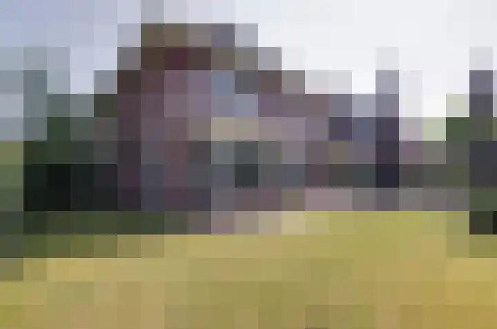 Wolvenlaan 19 Assen thumbnail 48