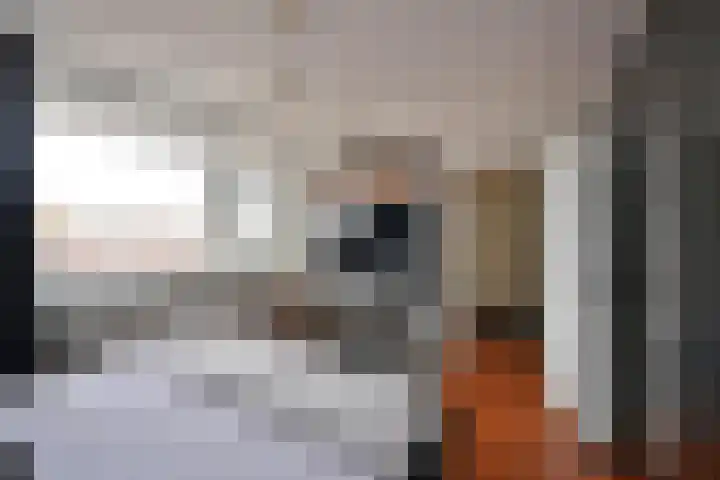 Wolvenlaan 191 Hilversum thumbnail 10