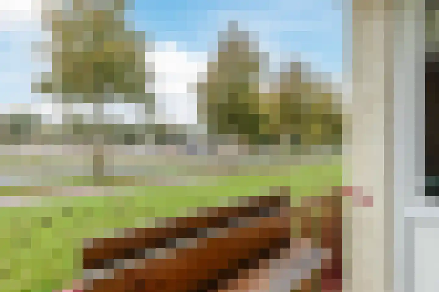 Wolvenlaan 193 Hilversum thumbnail 17
