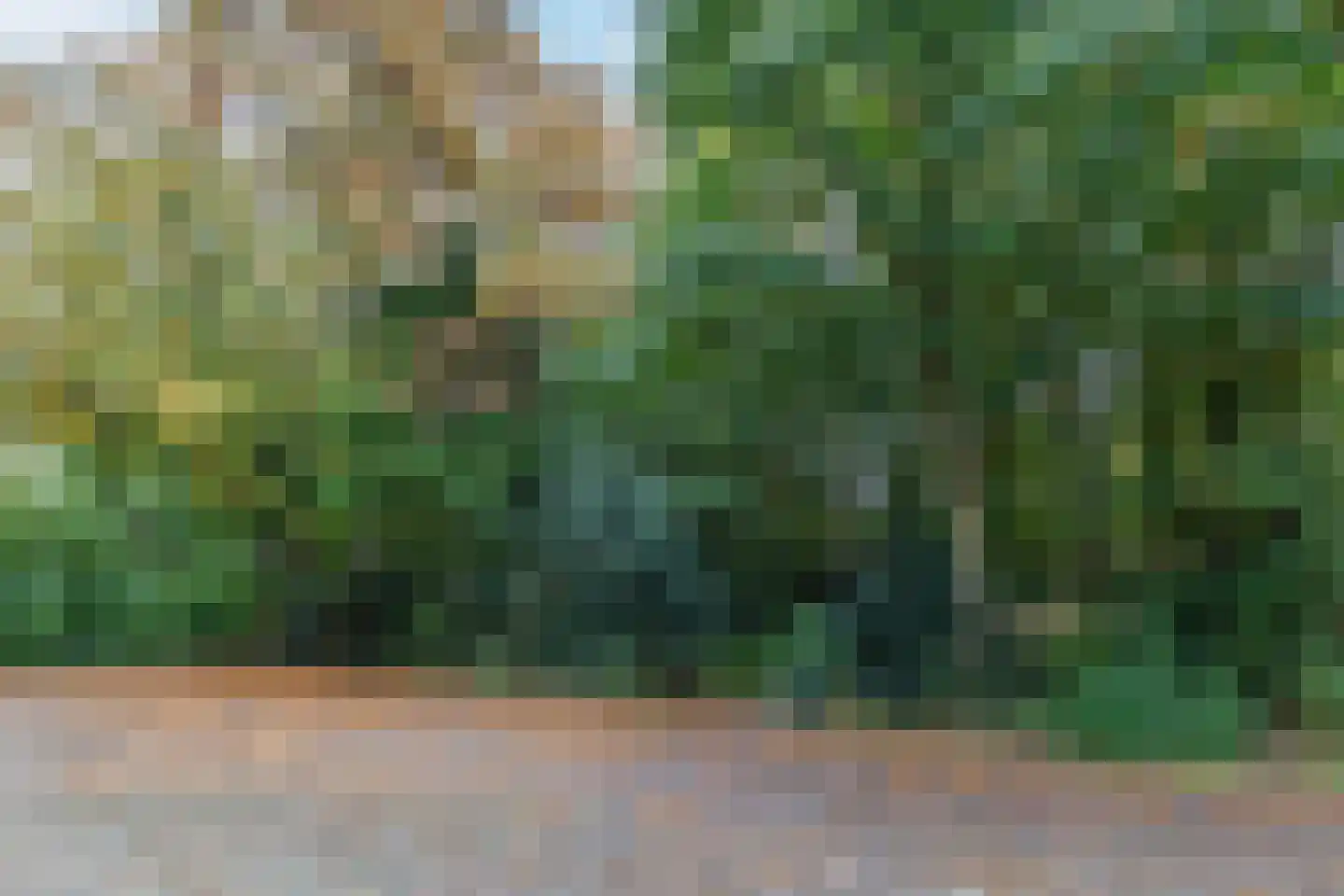 Wolvenlaan 193 Hilversum thumbnail 37