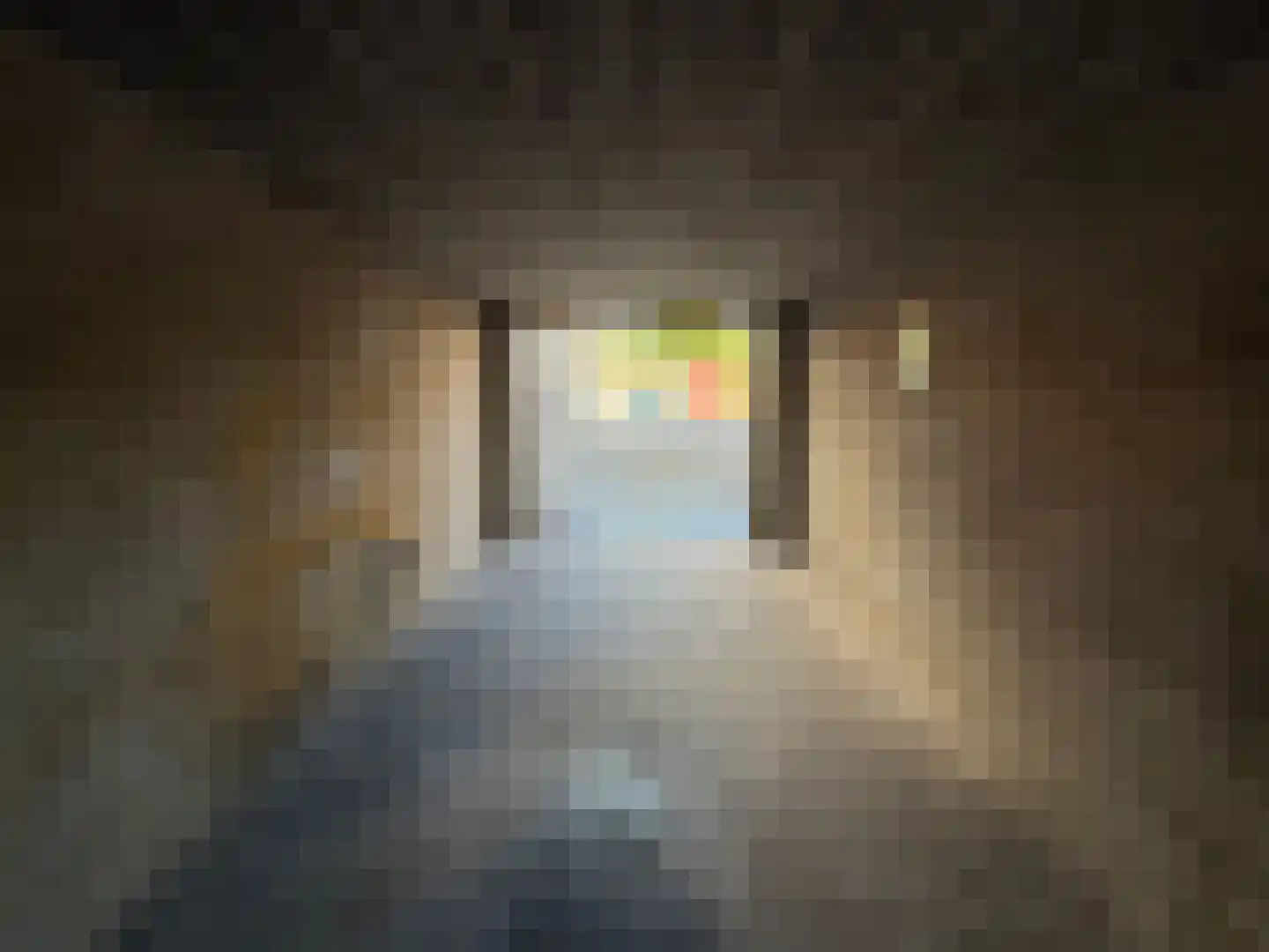 Wolvenlaan 241 Hilversum thumbnail 4