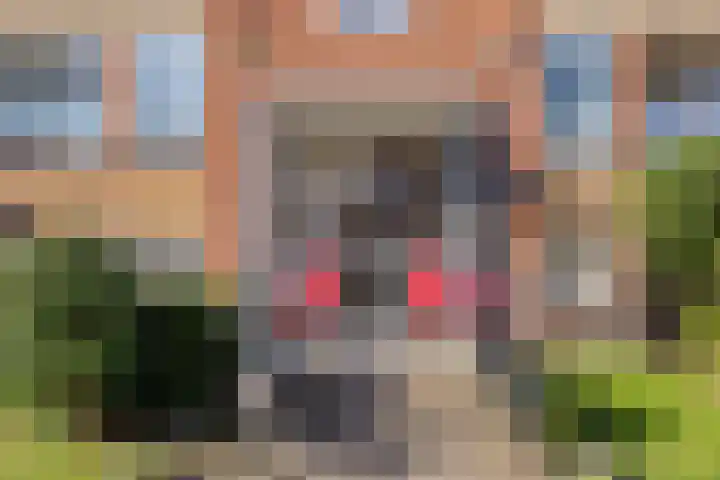 Wolvenlaan 245 Hilversum thumbnail 15