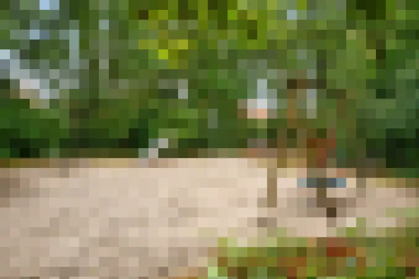 Wolvenlaan 275 Hilversum thumbnail 22