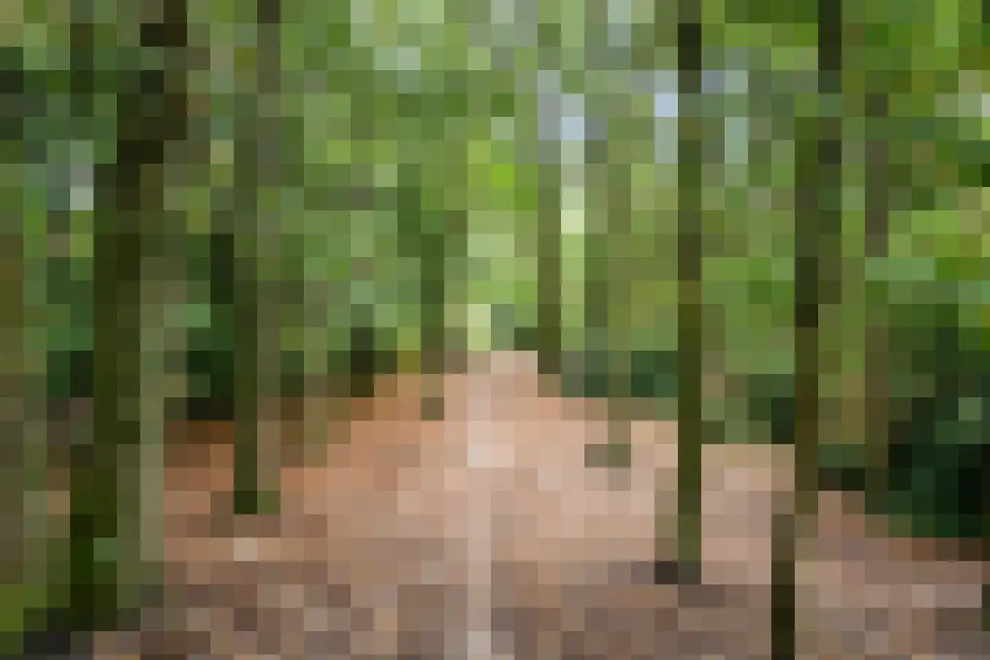 Wolvenlaan 275 Hilversum thumbnail 23
