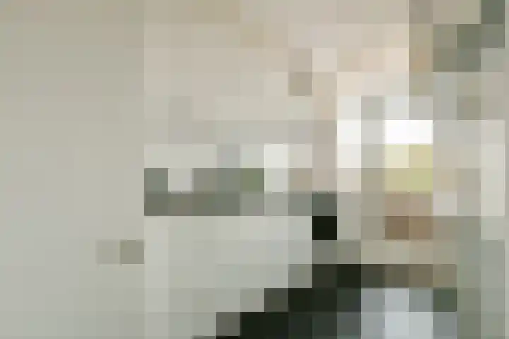Wolvenlaan 279 Hilversum thumbnail 17