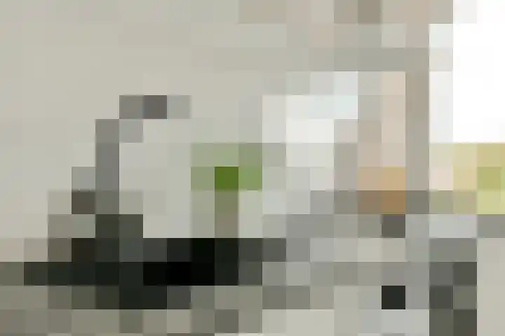Wolvenlaan 279 Hilversum thumbnail 19