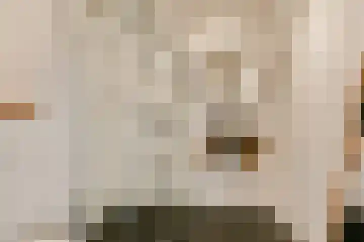 Wolvenlaan 279 Hilversum thumbnail 24