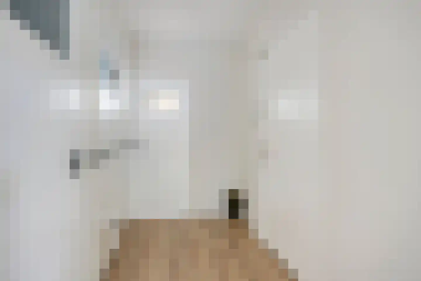 Wolvenlaan 31 Hilversum thumbnail 8