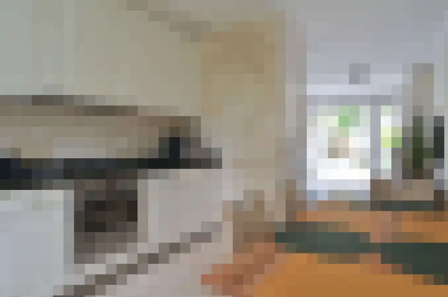 Wolvenlaan 38 Hilversum thumbnail 12