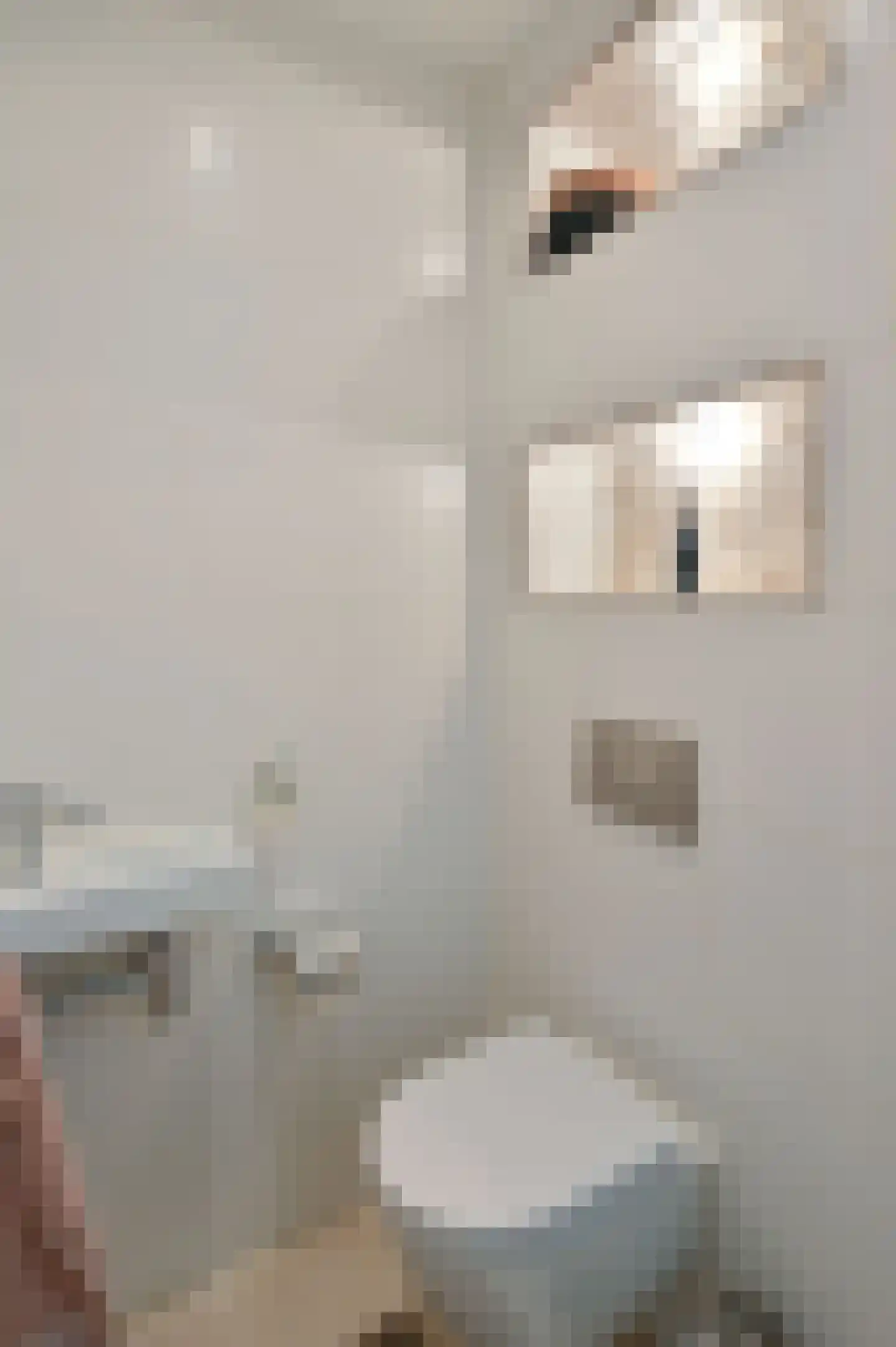 Wolvenlaan 38 Hilversum thumbnail 13