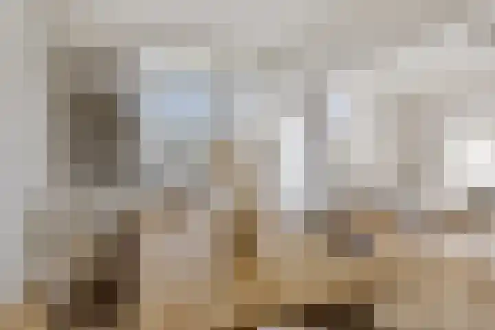 Wolvenlaan 47 Hilversum thumbnail 9