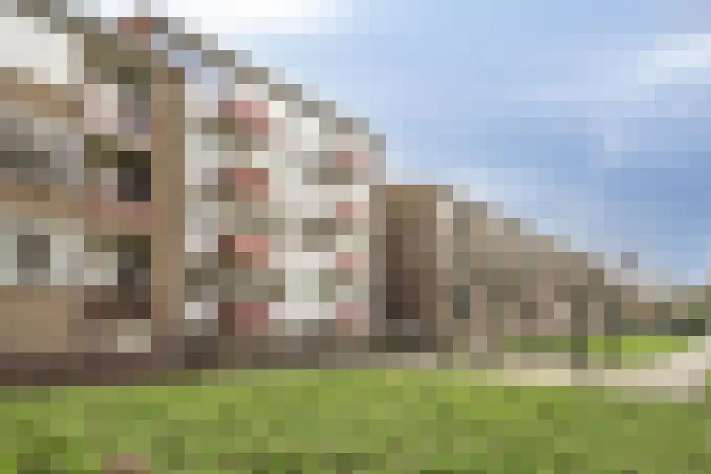 Wolvenlaan 61 Hilversum thumbnail 7