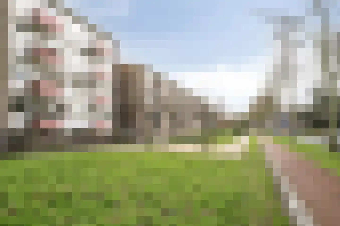 Wolvenlaan 61 Hilversum thumbnail 8