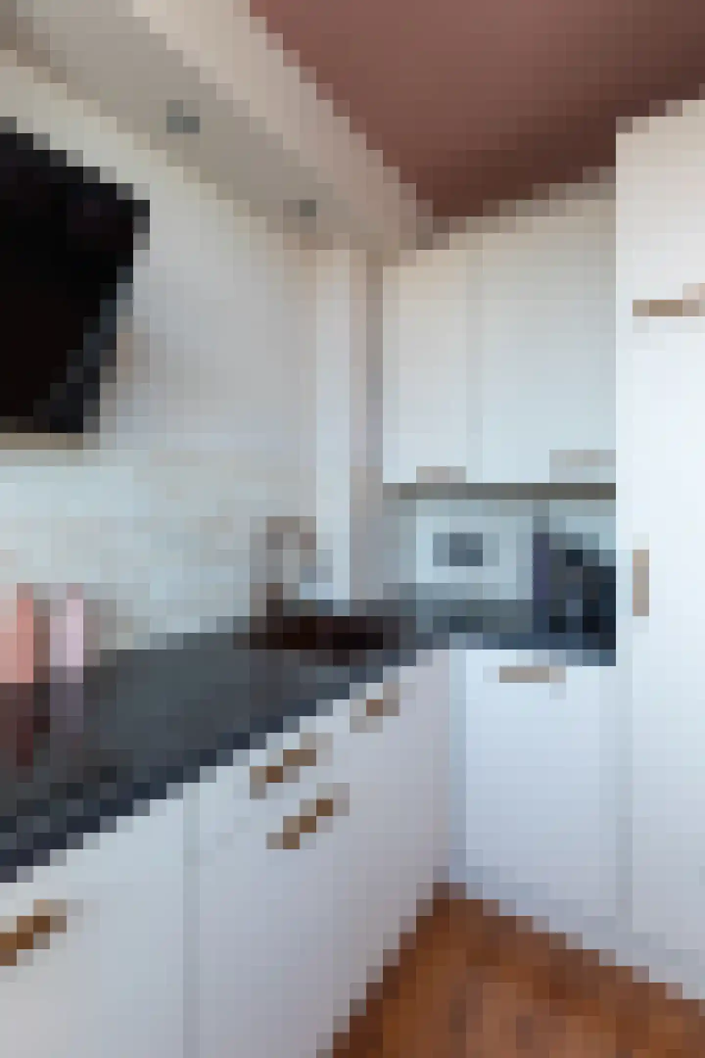Wolvenlaan 63 Hilversum thumbnail 13